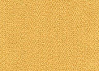 Фото - Обои Shinhan Focus - 554915>