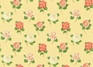 Фото - Ткани Sanderson Maycott Prints - 451768>