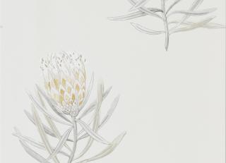 Фото - Обои Sanderson Art of the Garden - 324338>