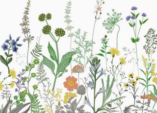 Фото - Обои Faboie Whispering In The Jungle - 622313>