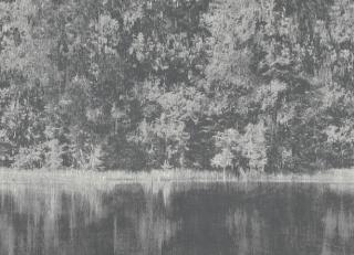 Фото - Ткани Black Edition Mizumi - 418980>