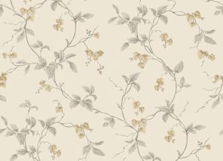 Фото - Обои Aura Gourmet Tour II - 367863>