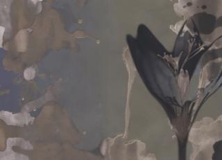 Фото - Обои Wall&Deco CODE 2020 CONTEMPORARY - 495227>