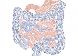 Фото - Обои Mr Perswall Communication - 234732>