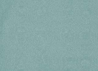 Фото - Ткани Clarke&Clarke Moire - 404050>