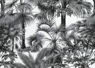 Фото - Ткани Thibaut Tropics - 529839>