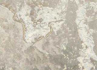 Фото - Обои Decori & Decori Forte dei Marmi 2 - 544530>