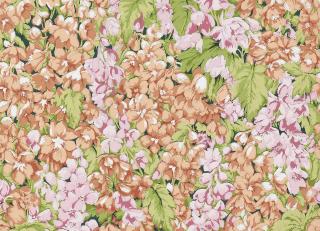 Фото - Обои Pierre Frey Veranda - 516282>