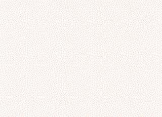 Фото - Обои Casadeco Rose & Nino - 557680>