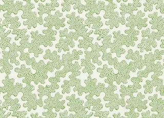 Фото - Обои Harlequin Colour 3 Wallpapers - 553871>