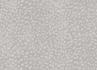 Фото - Обои Khroma Cabinet of curiosities - 508895>