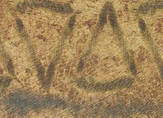 Фото - Обои Elitis Sauvages - 605275>