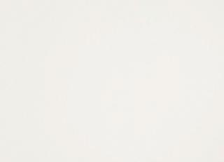 Фото - Обои Sandudd Rolleri 7 - 422402>