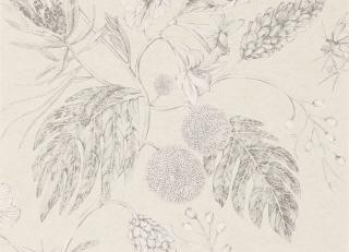 Фото - Обои Harlequin Palmetto - 237048>