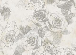 Фото - Обои Seabrook Lanai - 217715>