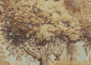 Фото - Обои Pierre Frey Graminees 3 - 324222>