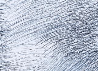 Фото - Обои Jannelli & Volpi Marimekko 6 - 568867>