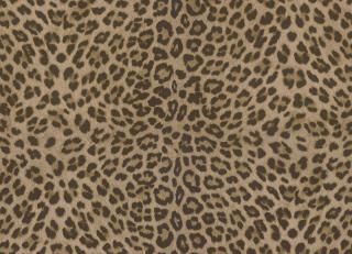 Фото - Обои Zambaiti Philipp Plein - 550602>