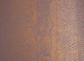 Фото - Обои для стен Curious - 186327>