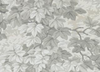 Фото - Обои Zoffany Darnley Wallpapers - 390225>