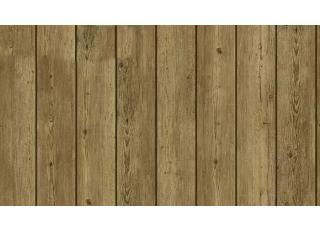 Фото - Обои Shinhan Natural  - 554972>