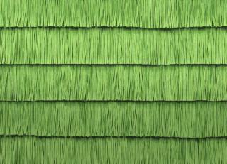 Фото - Обои Arte Insolence - 425009>