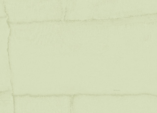 Фото - Обои Zambaiti Trussardi 8 - 624473>