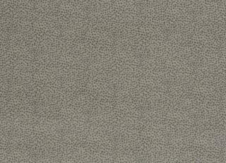 Фото - Ткани Mark Alexander Gramercy - 269534>