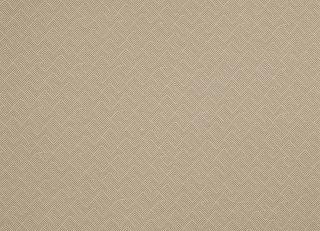 Фото - Ткани Manuel Canovas Biot - 436965>