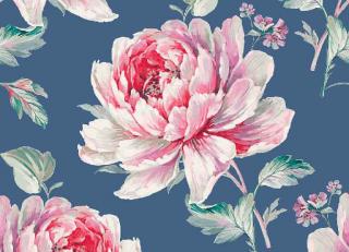 Фото - Обои Carl Robinson Edition 10 - 253566>