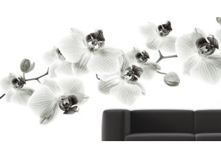 Фото - Обои Glamora Essence - 225528>