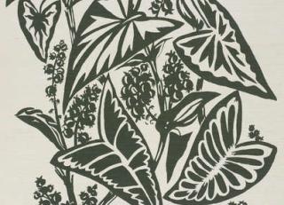 Фото - Обои Pierre Frey Jungle - 312166>