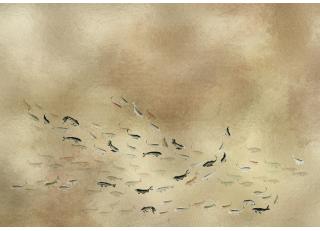 Фото - Обои Coordonne Random Metallics - 581040>