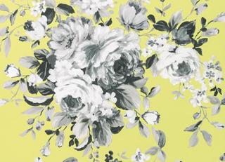 Фото - Обои Clarke&Clarke Colony Wallcoverings - 305034>