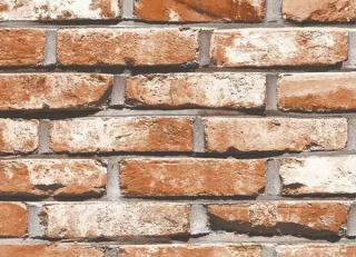 Фото - Обои Shinhan Natural  - 554949>