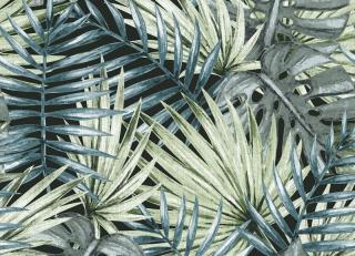 Фото - Обои Ich Dans Lemur Caribbean - 440831>