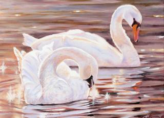 Фото - Обои Ortograf Елена Самарская - 479061>