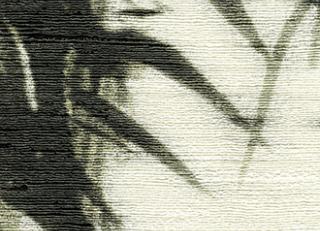 Фото - Обои Elitis Talamone - 378048>