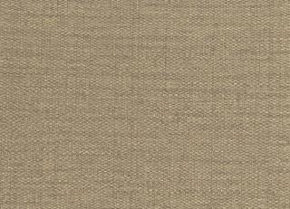 Фото - Обои Sirpi Forest - 454601>