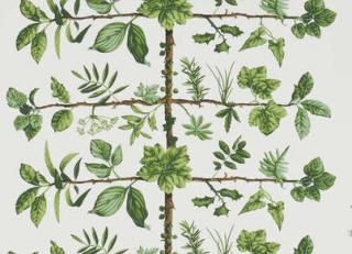 Фото - Обои Pierre Frey Pierre Frey Wallpapers - 311078>