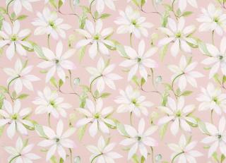 Фото - Ткани Prestigious Textiles Bloom - 441198>