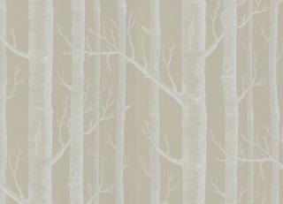 Фото - Обои Cole & Son New Contemporary Two - 232830>