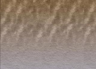 Фото - Ковры Tai Ping Chaya - 511731>