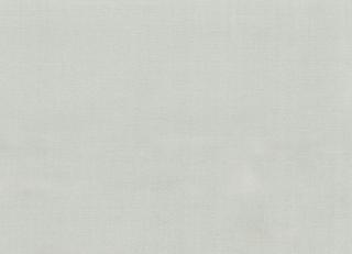 Фото - Ткани Rubelli Victoria - 500859>