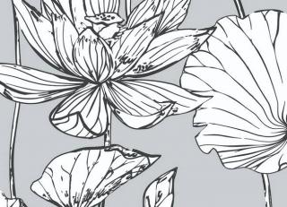 Фото - Обои Peel&Stick Collection PS - 591948>