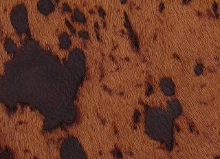 Фото - Аксессуары Pavoni Кожа Vitellina Pelo - 589025>