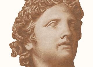 Фото - Ковры Tapis Rouge Miti - 591249>