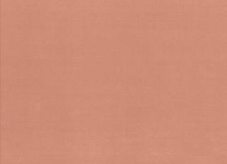 Фото - Ткани Rubelli Velvetforty - 500675>