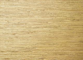 Фото - Обои Thibaut Grasscloth Resource 5 - 523870>
