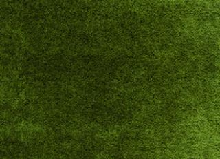 Фото - Ткани Elitis Pur mohair - 377709>